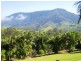 Running Creek QLD 4287