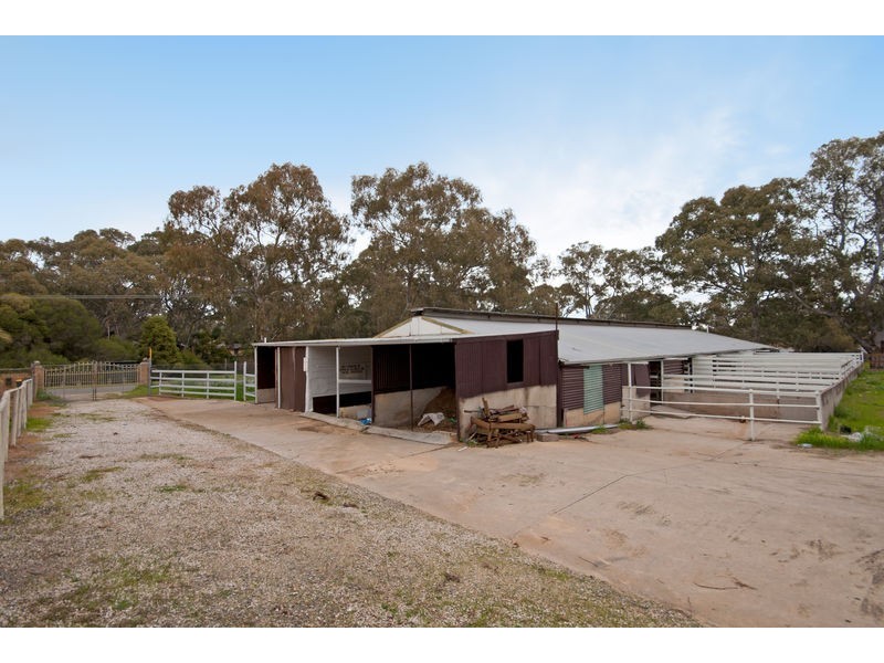 444 Yatala Vale Road, Fairview Park SA 5126