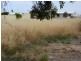 Lot 26 Tarella Street, Milang SA 5256