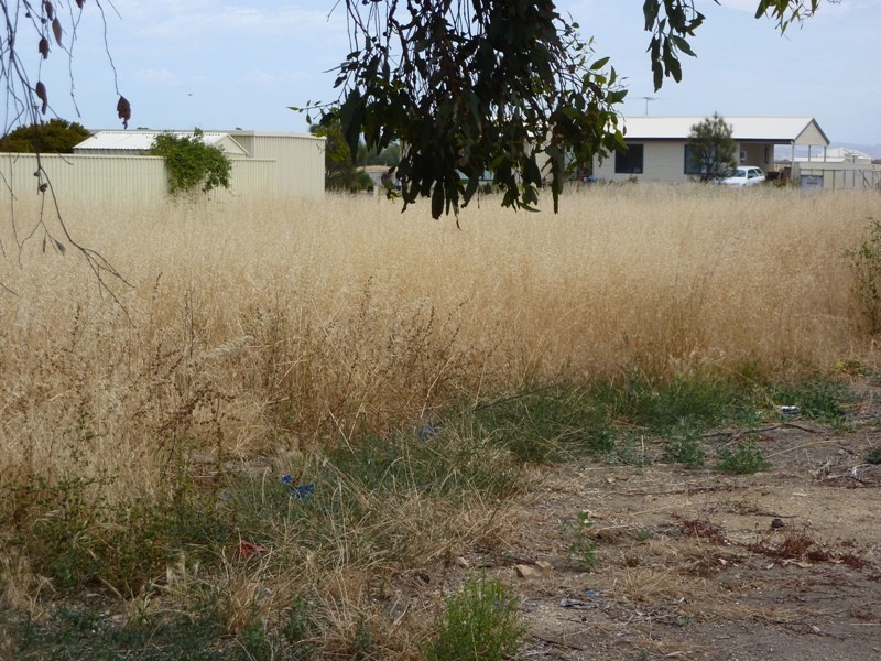Lot 26 Tarella Street, Milang SA 5256