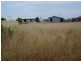 Lot 26 Tarella Street, Milang SA 5256