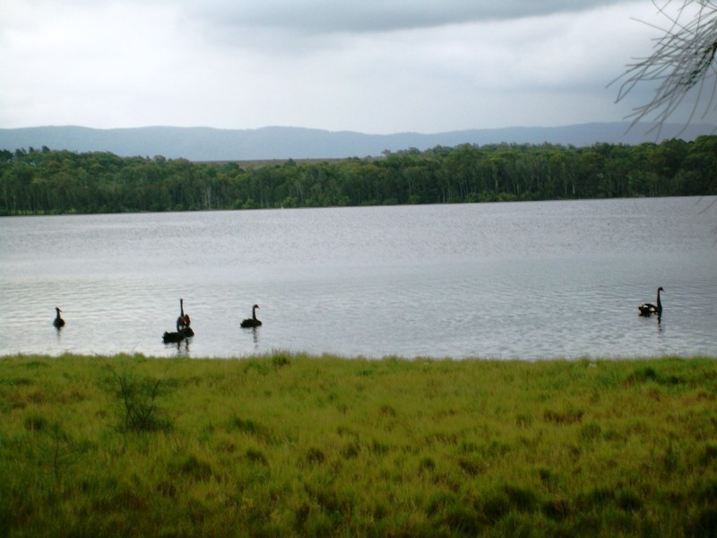 240a Dora Street, Dora Creek NSW 2264