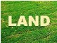 163 Old Maitland Road, Hexham NSW 2322