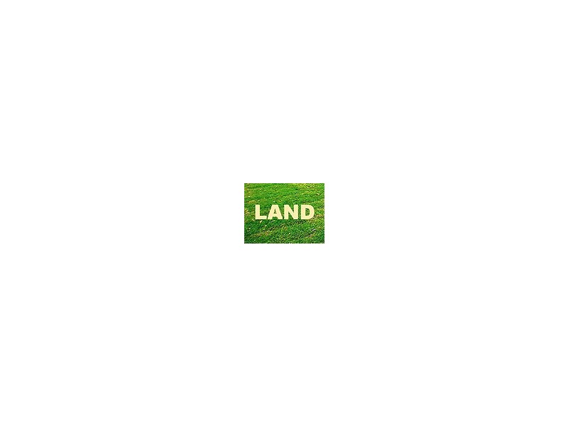 163 Old Maitland Road, Hexham NSW 2322