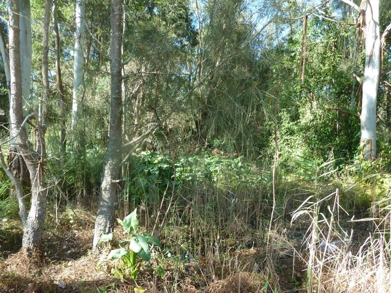 454 Marsh Road, Bobs Farm NSW 2316