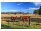 6 Prince Street, Bellbird NSW 2325