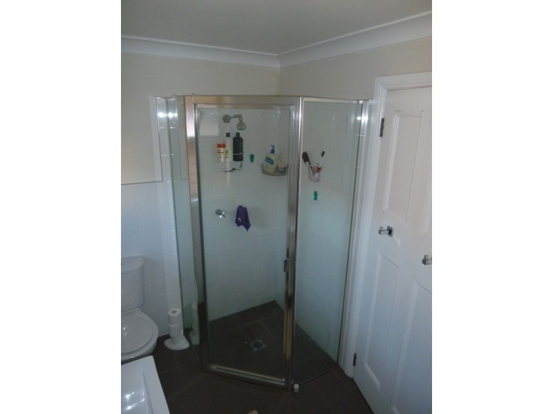 29 Queen Street, Lorn NSW 2320