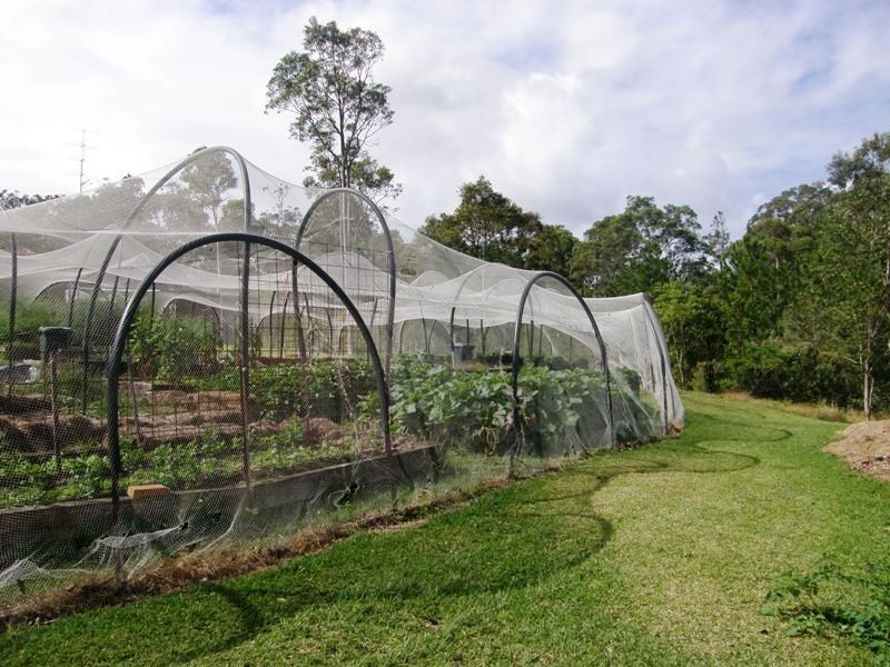 55 Viney Creek Road, Tea Gardens NSW 2324