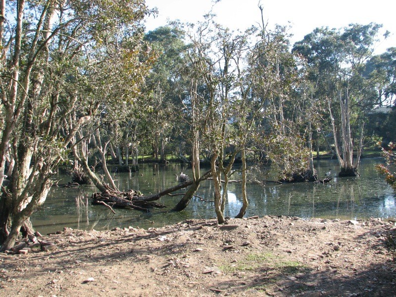 24 Mort Street, Shortland NSW 2307