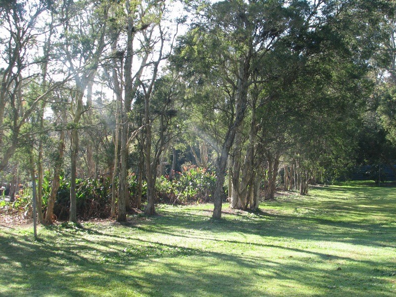 24 Mort Street, Shortland NSW 2307