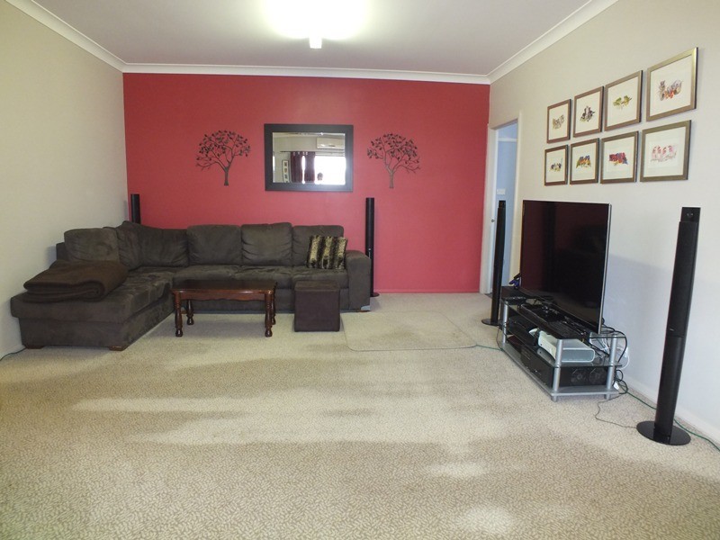 38 Sassin Crescent, Medowie NSW 2318