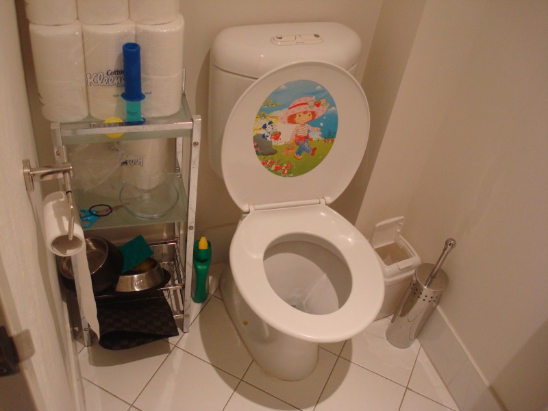 55/81 Church St, Lidcombe NSW 2141