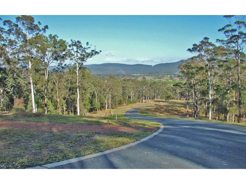 Lot 17 Sherwood Creek Road, Glenreagh NSW 2450