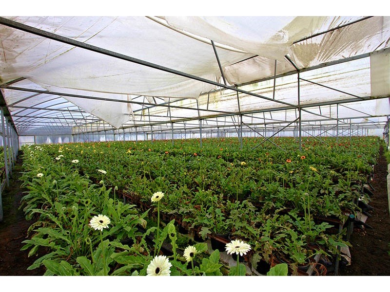 75 Fisheries Road, Devon Meadows VIC 3977