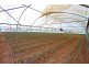 75 Fisheries Road, Devon Meadows VIC 3977