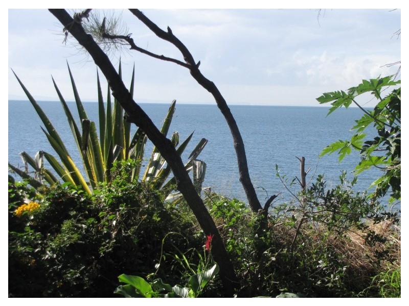 Woody Point QLD 4019