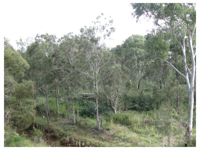 Kippa-ring QLD 4021