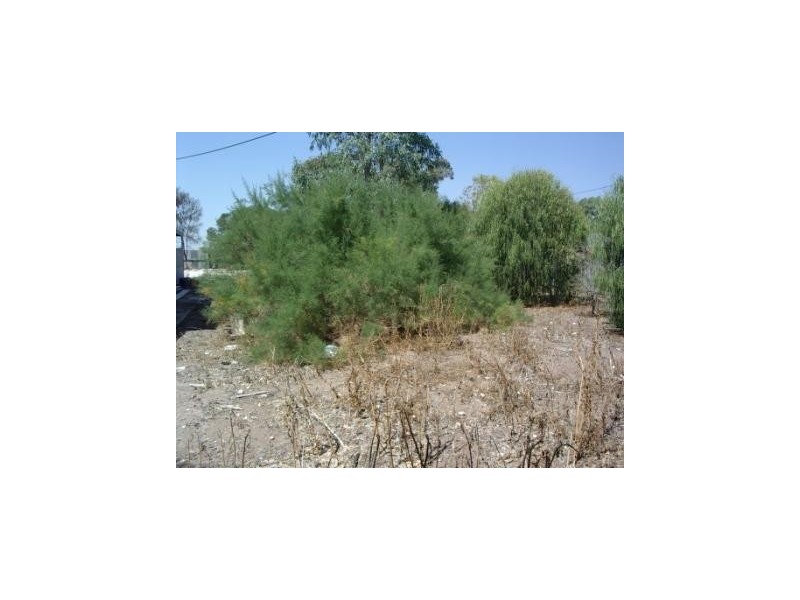 75 Western Drive, Bordertown SA 5268