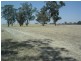 Lot 101 Finlayson Road, Bordertown SA 5268