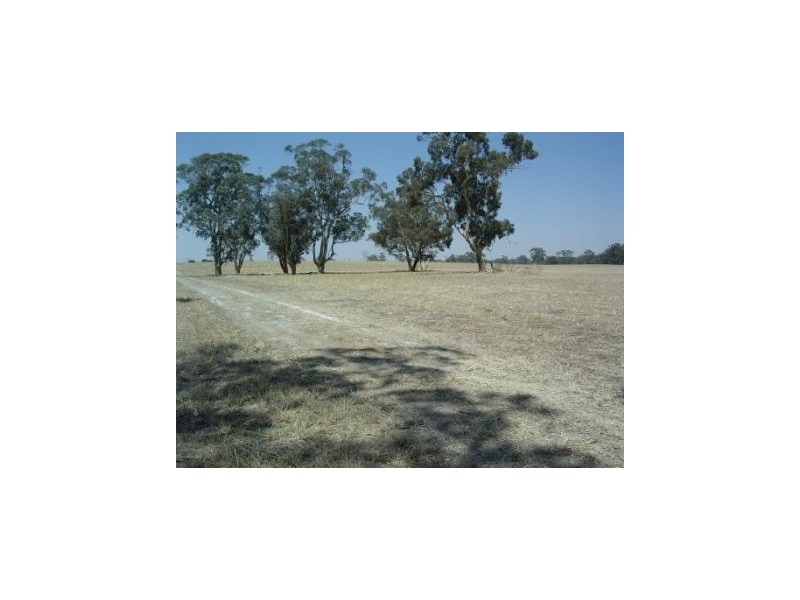 Lot 101 Finlayson Road, Bordertown SA 5268