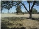 Lot 101 Finlayson Road, Bordertown SA 5268