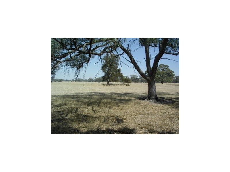 Lot 101 Finlayson Road, Bordertown SA 5268