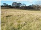 563 Mt Baw Baw Road, Goulburn NSW 2580