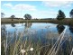 563 Mt Baw Baw Road, Goulburn NSW 2580