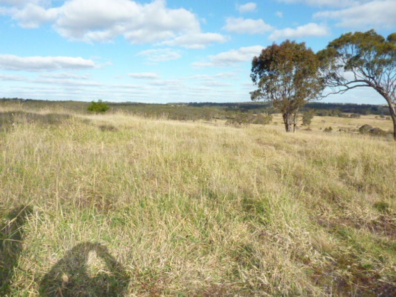 563 Mt Baw Baw Road, Goulburn NSW 2580