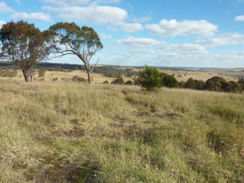 563 Mt Baw Baw Road, Goulburn NSW 2580