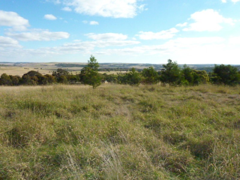 563 Mt Baw Baw Road, Goulburn NSW 2580