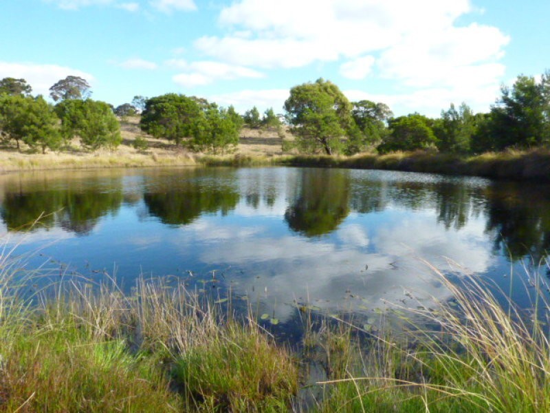 563 Mt Baw Baw Road, Goulburn NSW 2580