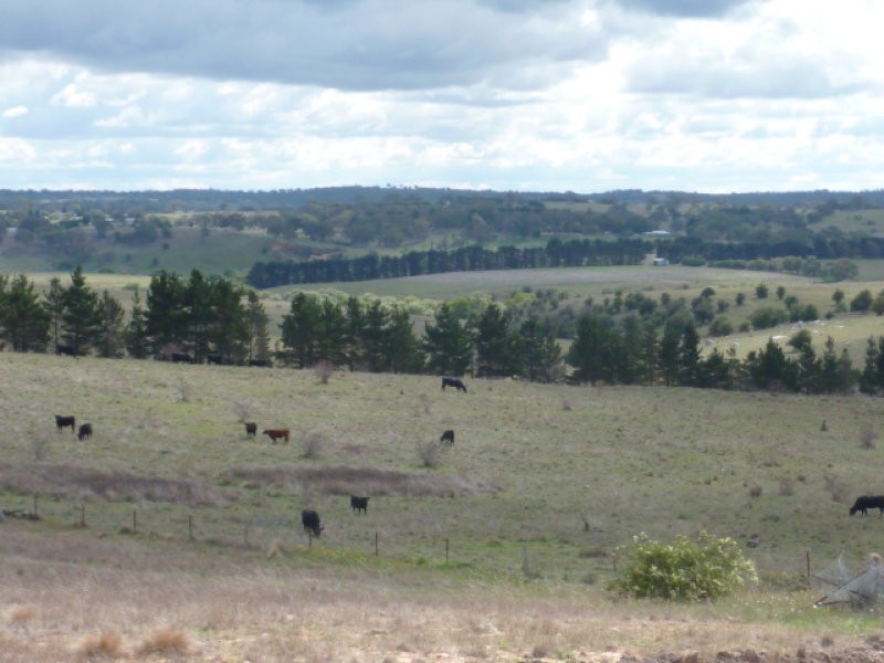 355 Run O Waters Drive, Goulburn NSW 2580