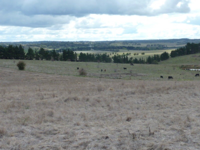355 Run O Waters Drive, Goulburn NSW 2580