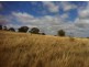 235 Gurrundah Road, Goulburn NSW 2580