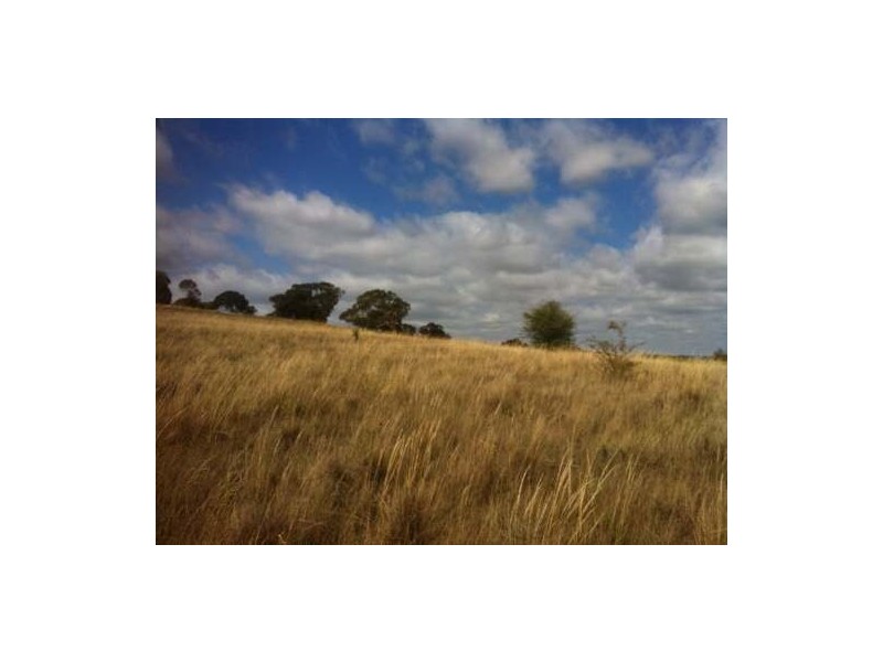 235 Gurrundah Road, Goulburn NSW 2580