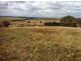 235 Gurrundah Road, Goulburn NSW 2580