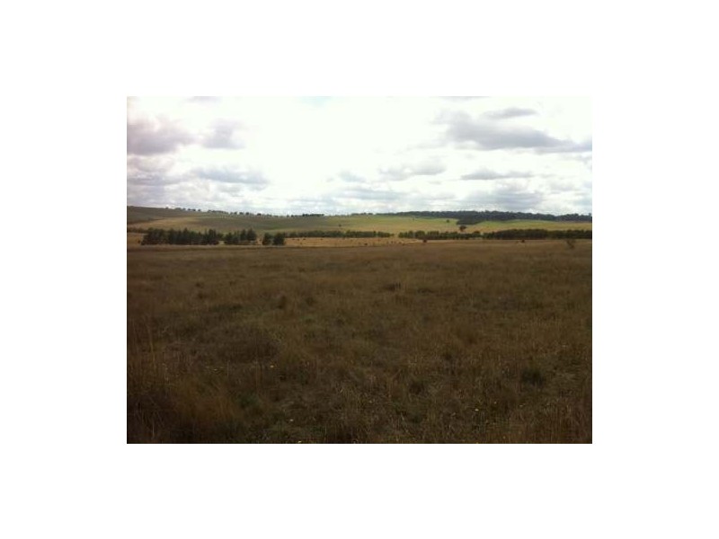 235 Gurrundah Road, Goulburn NSW 2580