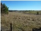 1112 Bevendale Road, Bevendale NSW 2581