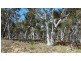 400 Pomeroy Road, Pomeroy NSW 2580
