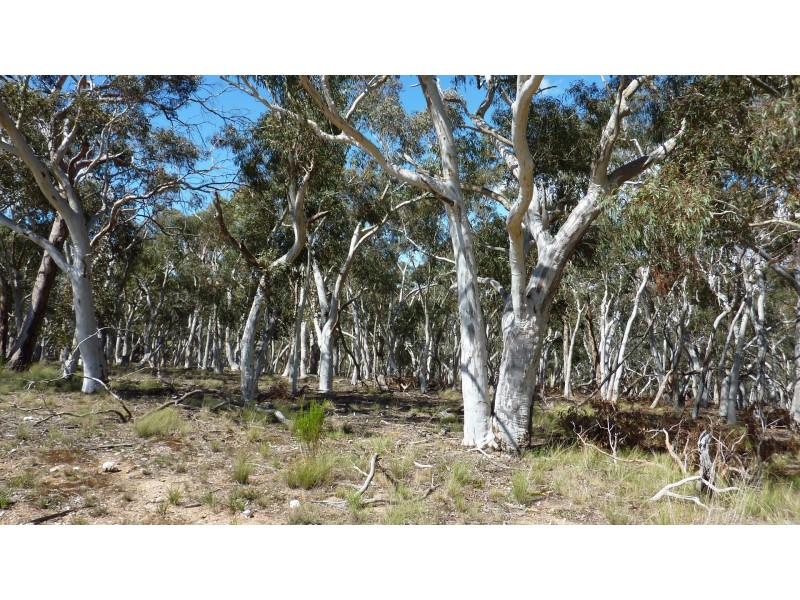 400 Pomeroy Road, Pomeroy NSW 2580