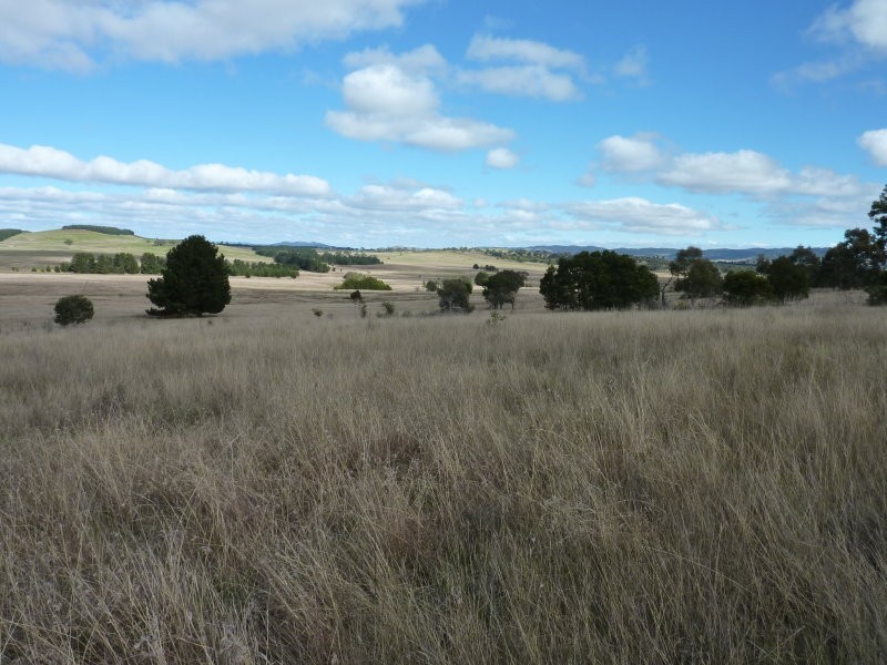 215 Bundong Lane, Lake Bathurst NSW 2580