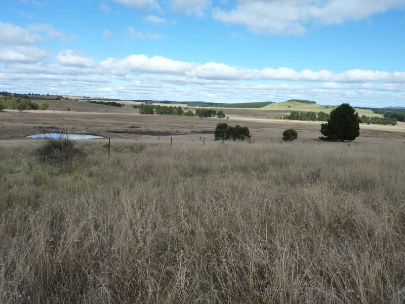 215 Bundong Lane, Lake Bathurst NSW 2580