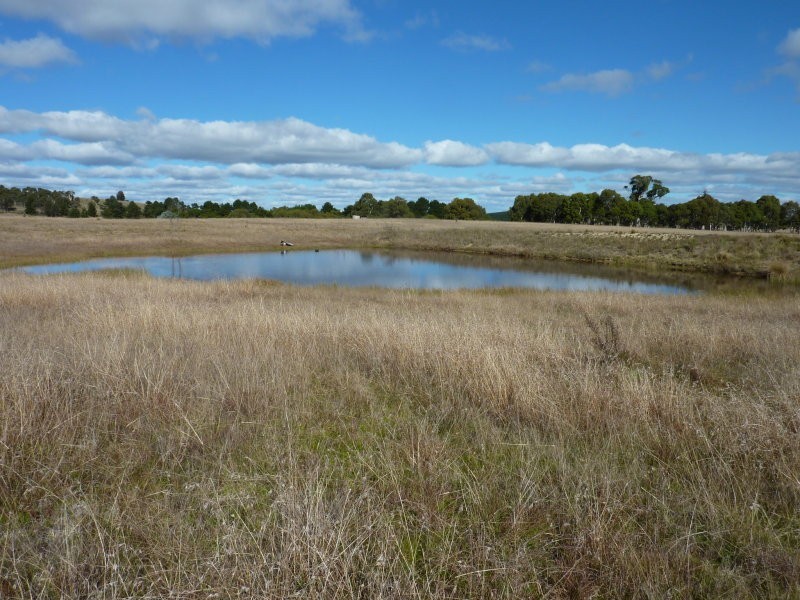 215 Bundong Lane, Lake Bathurst NSW 2580