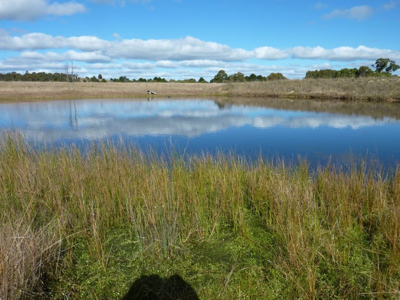 215 Bundong Lane, Lake Bathurst NSW 2580