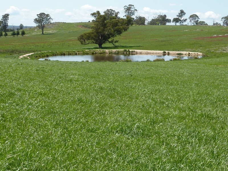 230 Tyrl tyrl Road, Crookwell NSW 2583