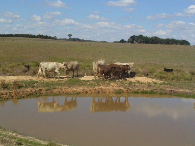 600 Boorowa Rd, Crookwell NSW 2583