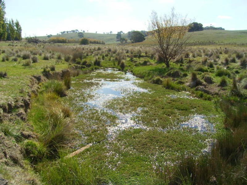 600 Boorowa Rd, Crookwell NSW 2583