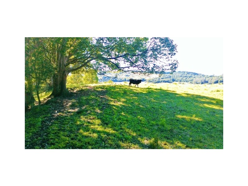 108 Gundurimba Road, Monaltrie NSW 2480