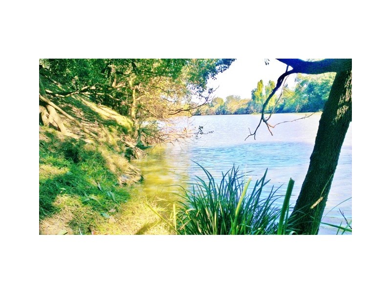 108 Gundurimba Road, Monaltrie NSW 2480